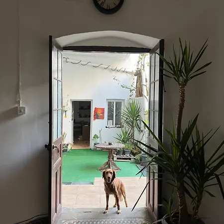 Ottoman Architecture House Homestay *